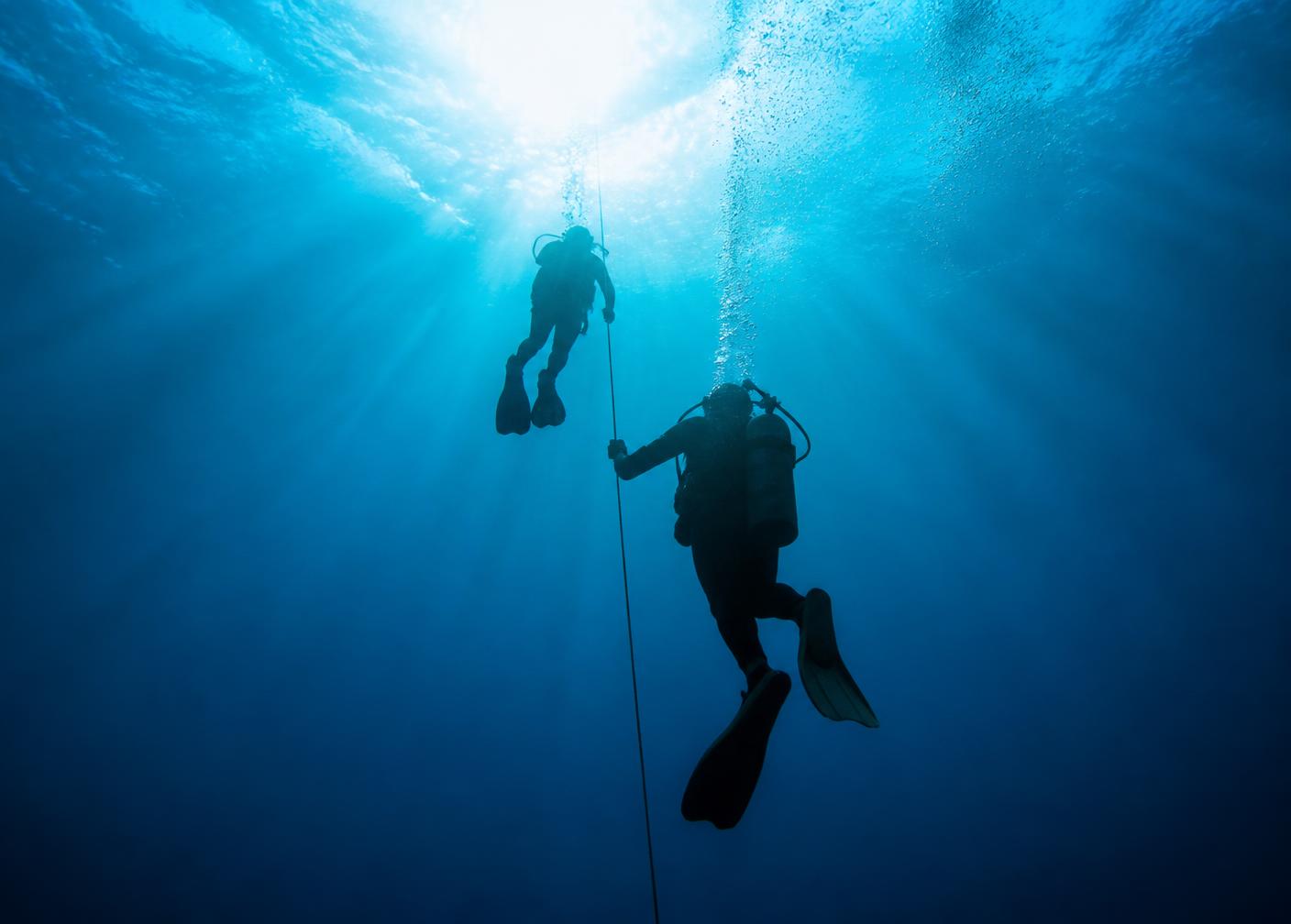 Divers ascending together through sunlit blue water
